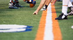 Boodschap - De beuk erin