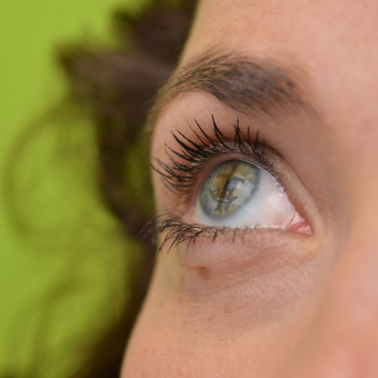 the beauty of it all