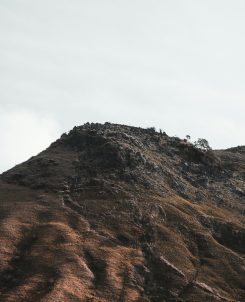 De kracht van eten en vasten