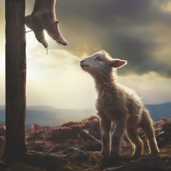 De noodzaak van het offer