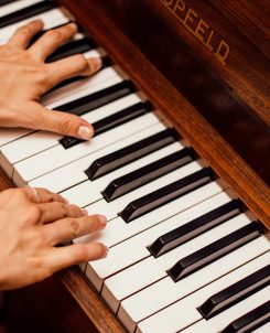 Het instrument en de virtuoos
