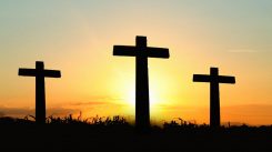 wonderwerkende bloed