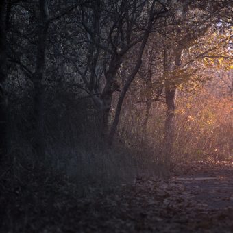 Inspiratie - Van hekserij tot Christus