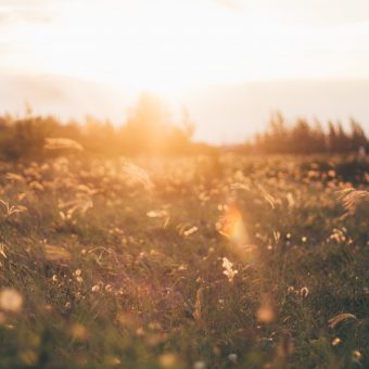 Een jaar van ongekende mogelijkheden