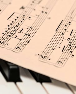 Fanny Crosby: Liederen die mensenharten bewogen