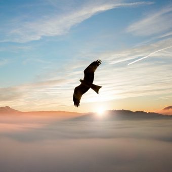 Studie - Gods genade is genoeg