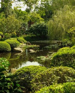 Het zijn de kleine dingen