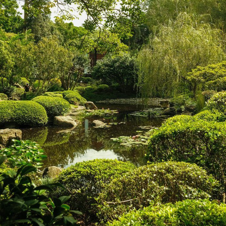 Het zijn de kleine dingen