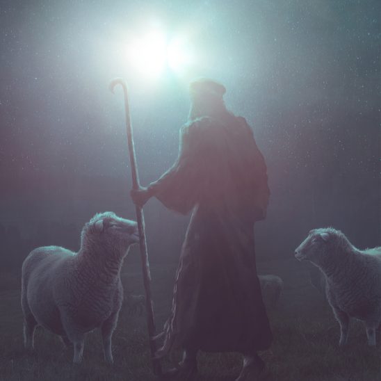 Inspiratie - Psalm Story - Psalm 100 Dienen