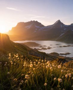 Inspiratie - Psalm Story - Psalm 104