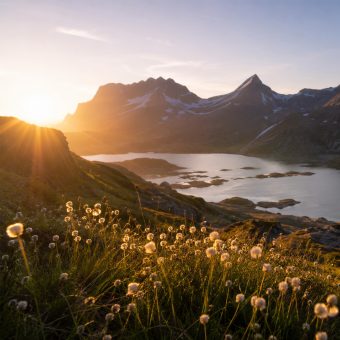Inspiratie - Psalm Story - Psalm 104