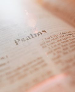 Psalm 20