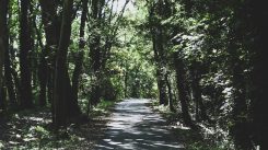 Boodschap - God is voor ons