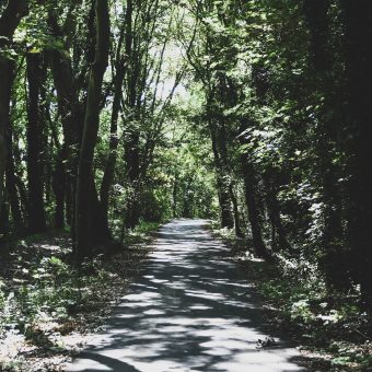 Boodschap - God is voor ons