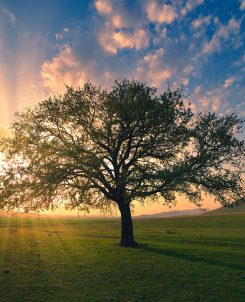 Onmogelijk bij mensen, mogelijk bij God