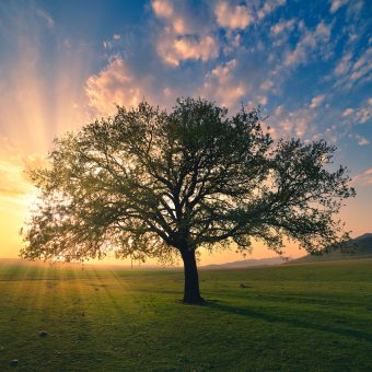 Onmogelijk bij mensen, mogelijk bij God