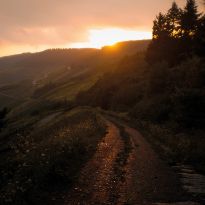Lifestyle - Song Story: Quiet Place
