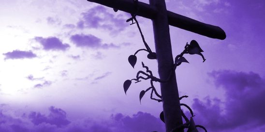 Studie - Als je blijft