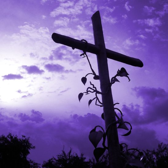 Studie - Als je blijft