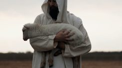 Studie - De Here is mijn Herder