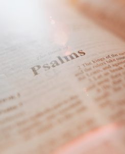 Studie - Psalm 34