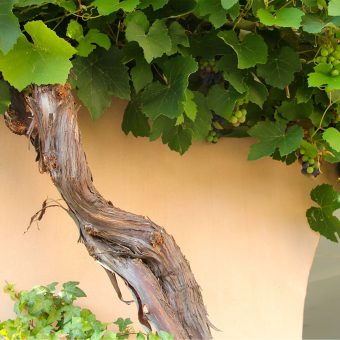 Zonder Mij kun je niets doen