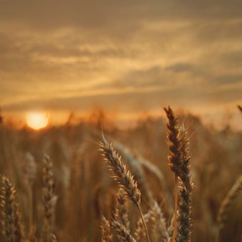 uit het leven van Jozef