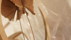 Waardevol onszelf zien